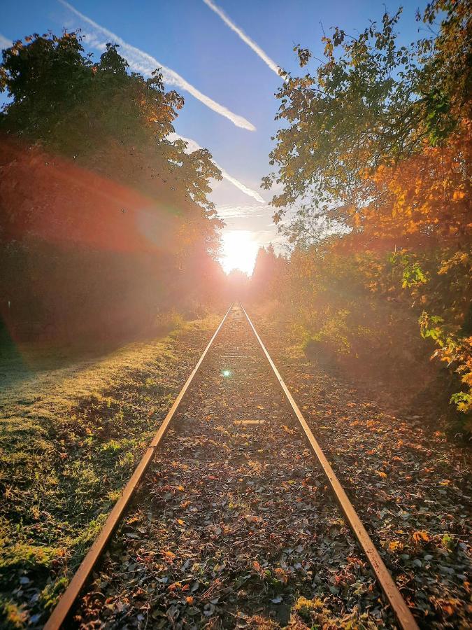 Fewo Im Alten Bahnhof Niederrossbach Экстерьер фото
