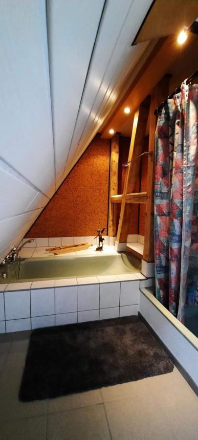 Fewo Im Alten Bahnhof Niederrossbach Экстерьер фото